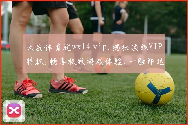 大发体育迸wx14 vip,揭秘顶级VIP特权,畅享极致游戏体验,一触即达